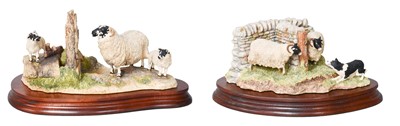 Lot 169 - Border Fine Arts 'Wrong Side of the Fence'...