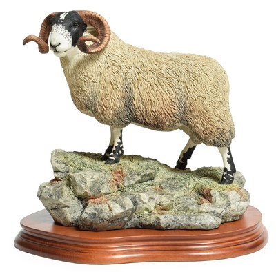 Lot 118 - Border Fine Arts 'Blackie Tup', model No....