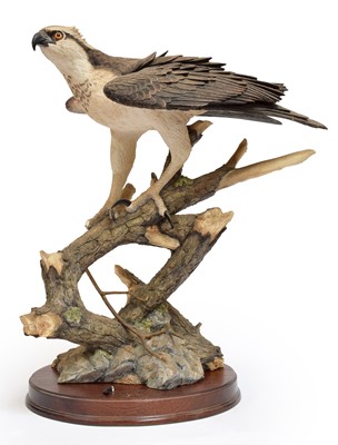 Lot 182 - Border Fine Arts 'Prince of the Loch' (Osprey),...