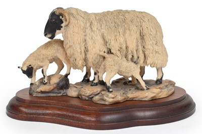 Lot 116 - Border Fine Arts 'Blackfaced Ewe and Lambs'...