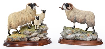 Lot 119 - Border Fine Arts 'Blackie Tup', model No....