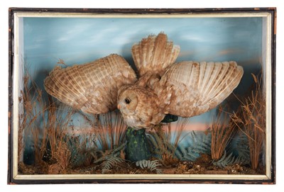 Lot 211 - Taxidermy: A Late Victorian Cased Tawny Owl...