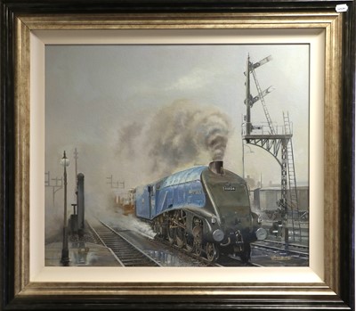 Lot 568 - Barry Freeman (Contemporary) Kingfisher 60024...