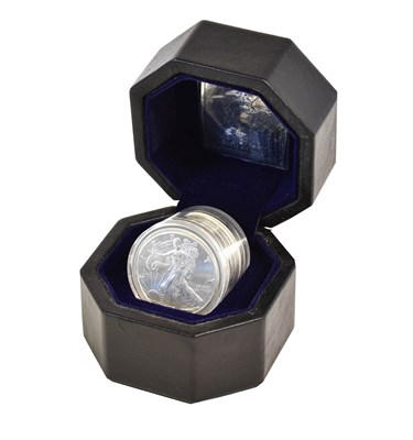 Lot 99 - 12 x USA, 1oz Fine Silver Eagles 2020;...