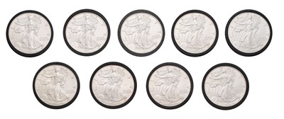 Lot 268 - 9x USA, 1oz Fine Silver Eagles, all dated 1996;...