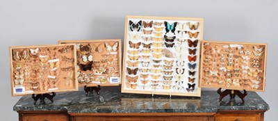Lot 1121 - Lepidoptera/Entomology: A Framed Collection of...