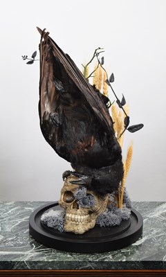 Lot 1187 - Taxidermy: A Gothic Inspired Carrion Crow on...