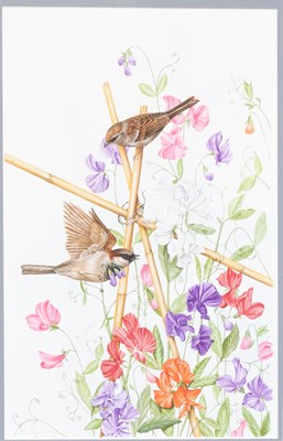 Lot 1055 - P L Edmondson (Contemporary) Sparrow and...
