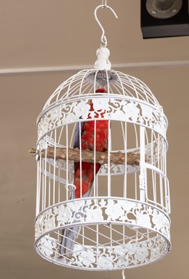 Lot 1189 - Taxidermy: A Crimson Rosella Parrot in a Bird...