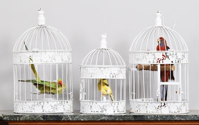 Lot 1122 - Taxidermy: A Crimson Rosella Parrot and Green...