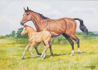 Lot 1140 - DM & EM Alderson (20th Century) Mare and Foal...