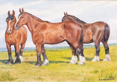 Lot 1139 - DM & EM Alderson (20th Century) Three Shire...