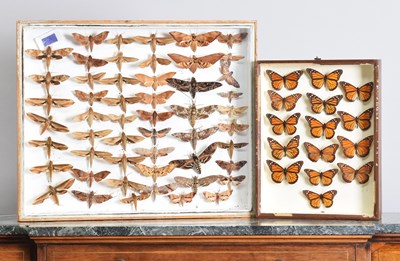 Lot 1141 - Entomology/Lepidoptera: A Framed Display of...