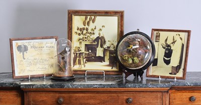 Lot 1125 - Taxidermy/Collectibles: A Wall Domed Goldfinch,...