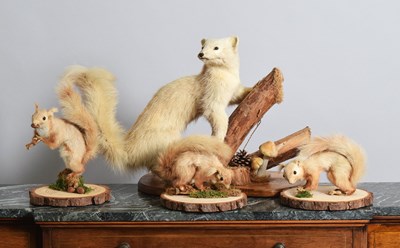 Lot 1177 - Taxidermy: A Group of European Countryside...