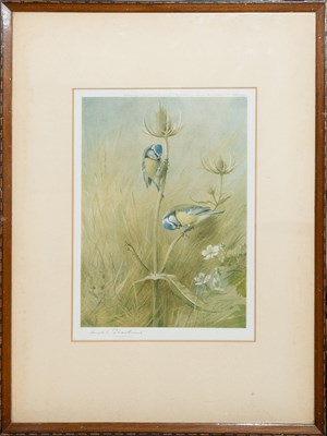 Lot 1087 - A Collection of 19th and 20th Century Pictures,...