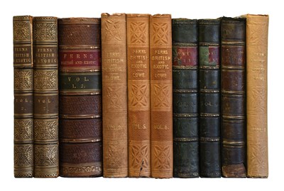 Lot 2116 - Lowe (E.J.). Ferns: British and Exotic. Mixed...