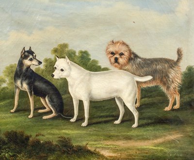 Lot 301 - J Clarke (19th Century) Three terriers...