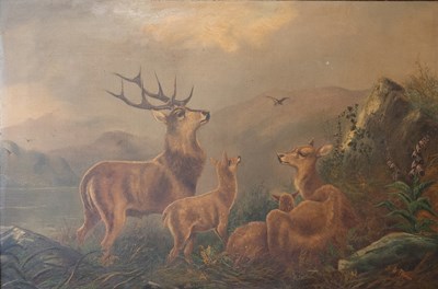 Lot 1057 - John W Morris (1865-1924) Stag, doe and fawns...