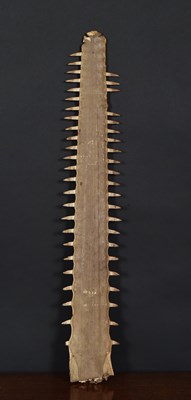 Lot 76 - Natural History: A Late 19th Century Sawfish...