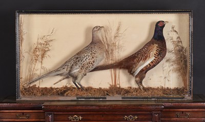 Lot 1406 - Taxidermy: A Late Victorian Cased Pair of Ring-...