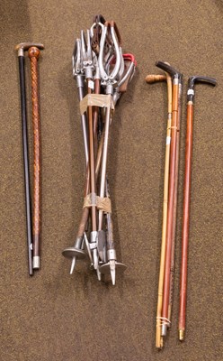 Lot 242 - A Collection of Sword and Walking Sticks,...