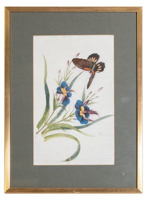Lot 97 - Chinese School (19th century) Insects amongst...