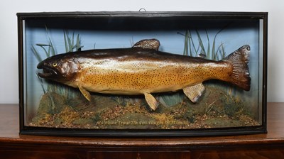 Lot 157 - Taxidermy: A Cased Rainbow Trout (Oncorhynchus...