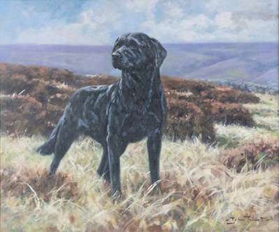 Lot 319 - John Trickett (b.1953) Black Labrador alert on...