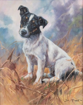 Lot 318 - John Trickett (b.1953) Seated Jack Russell...