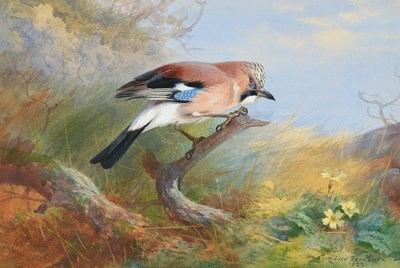 Lot 1013 - Archibald Thorburn FZS (1860-1935) Scottish...
