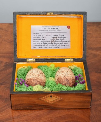 Lot 73 - Natural History: A Pair of Replica Golden...