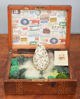 Lot 70 - Natural History: A Replica of the Earl of...