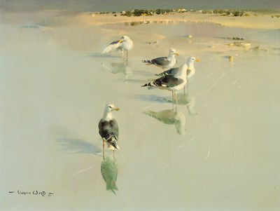 Lot 1016 - Vernon de Beauvoir Ward (1905-1985) Gulls on a...