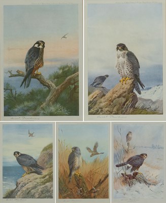 Lot 312 - After Archibald Thorburn FZS (1860-1935)...