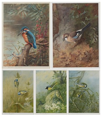 Lot 314 - After Archibald Thorburn FZS (1860-1935) "King...