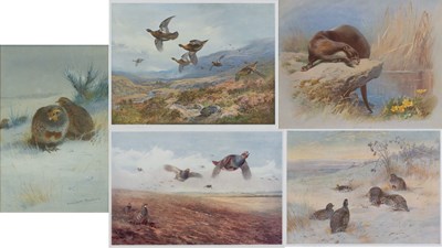 Lot 310 - After Archibald Thorburn FZS (1860-1935) "The...