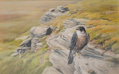 Lot 1098 - Robert Nicholls (Contemporary) "Hill Mist"...