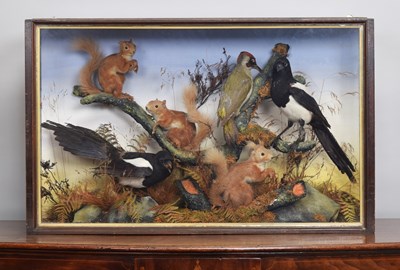 Lot 146 - Taxidermy: A Cased Collection of British Birds...
