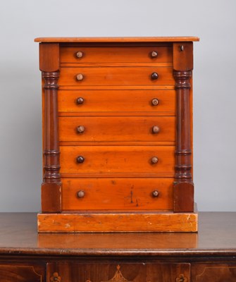 Lot 80 - Natural History: A Late Victorian Pine...