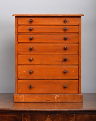 Lot 69 - Natural History: A Late 19th Century Pine...