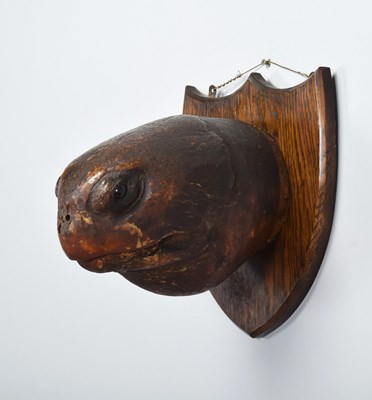 Lot 138 - Taxidermy: A Large Green Sea Turtle Head...