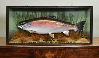 Lot 152 - Taxidermy: A Cased Rainbow Trout (Oncorhynchus...