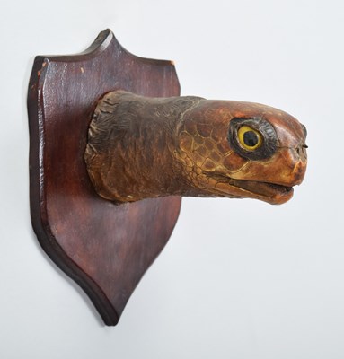Lot 148 - Taxidermy: Green Sea Turtle Head (Chelonia...