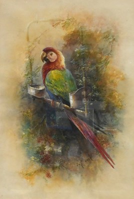 Lot 1326 - William E. Powell (1878-1955) Parrot resting...