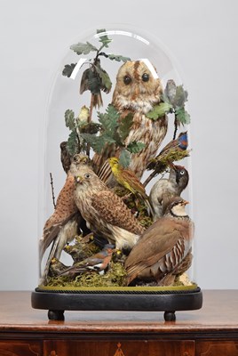 Lot 162 - Taxidermy: A Diorama of Late Victorian &...