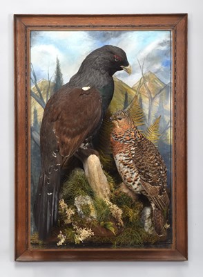 Lot 9 - Taxidermy: A Wall Cased Pair of European...
