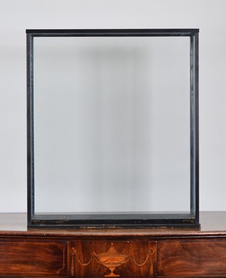 Lot 106 - Natural History: A Large Modern Glass Display...