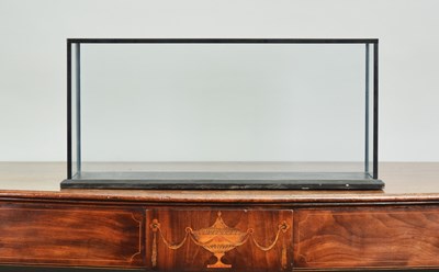 Lot 88 - Natural History: A Modern Glass Display Case,...