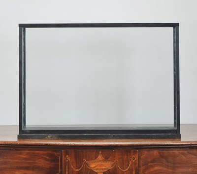Lot 82 - Natural History: A Modern Glass Display Case,...